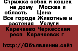 Стрижка собак и кошек на дому.  Москва и область.  › Цена ­ 1 200 - Все города Животные и растения » Услуги   . Карачаево-Черкесская респ.,Карачаевск г.